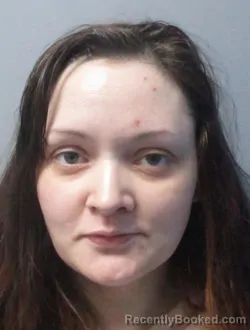 Mugshot of Hayley Marie Sapp booked in Morgan County, West Virginia on May 27, 2026