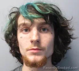 Mugshot of Hayden Riley Henry booked in Morgan County, West Virginia on June 9, 2026