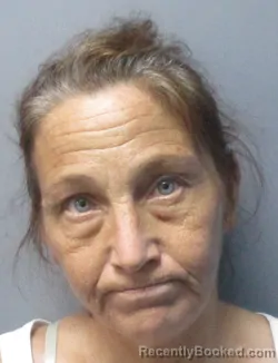 Mugshot of Kimberly Dawn Hayes booked in Morgan County, West Virginia on July 20, 2026