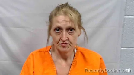 Mugshot of Mindy Lee Honaker