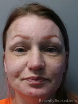 Booking photo from Morgan County, West Virginia