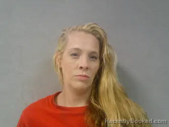 Mugshot of Debbie Marie Springer booked in Nicholas County, West Virginia on July 17, 2026