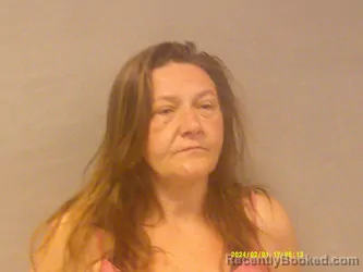 Mugshot of Erica Sue Crites booked in Nicholas County, West Virginia on May 20, 2026