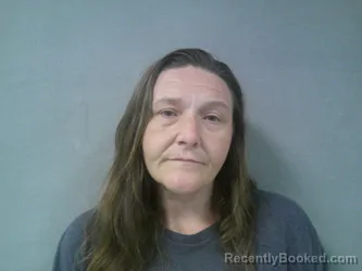 Mugshot of Erica Sue Crites booked in Nicholas County, West Virginia on June 10, 2026