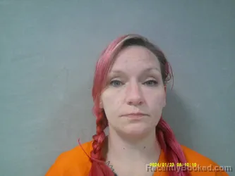 Mugshot of Heather Nichole Lough booked in Nicholas County, West Virginia on May 11, 2026