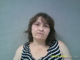 Mugshot of Jennifer Ellen Meadows booked in Nicholas County, West Virginia on May 18, 2026