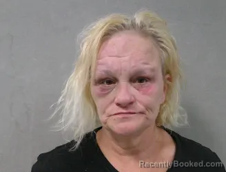 Mugshot of Lori Ann Solze booked in Nicholas County, West Virginia on October 7, 2026