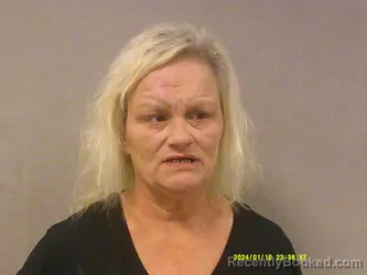 Mugshot of Lori Ann Solze booked in Nicholas County, West Virginia on April 11, 2026