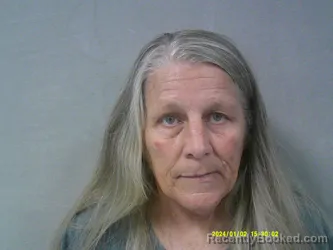 Mugshot of Lisa Ann Young booked in Nicholas County, West Virginia on April 21, 2026