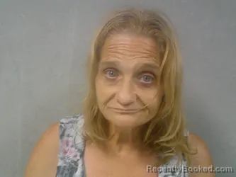 Mugshot of Lisa Renee Bailes booked in Nicholas County, West Virginia on August 9, 2026