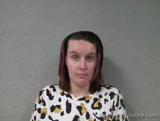 Mugshot of Michelle Ann Neff booked in Nicholas County, West Virginia on October 9, 2026
