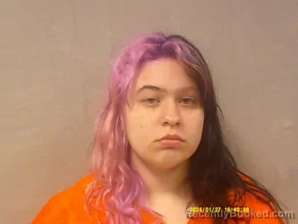 Mugshot of Miliea Brooke Bragg booked in Nicholas County, West Virginia on May 16, 2026