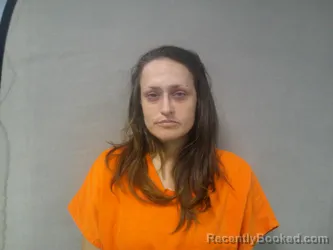 Mugshot of Nerissa Lynn Johnson booked in Nicholas County, West Virginia on July 16, 2026