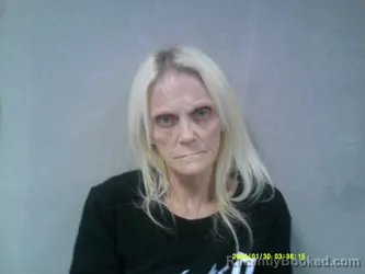 Mugshot of Stephanie Michelle Hunt booked in Nicholas County, West Virginia on May 18, 2026