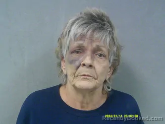 Mugshot of Terri Denise Hugharrt booked in Nicholas County, West Virginia on April 11, 2026