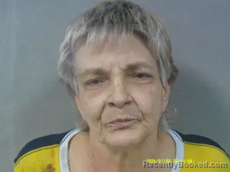 Mugshot of Terri Denise Hughart booked in Nicholas County, West Virginia on April 2, 2026