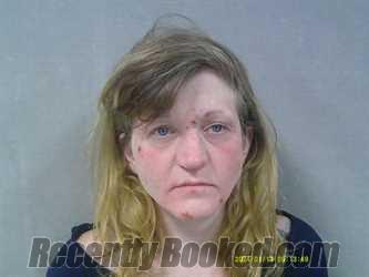 Booking photo from Nicholas County, West Virginia