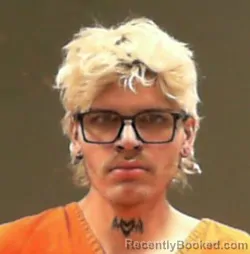 Mugshot of Bailey Gavin McCoy booked in Ohio County, West Virginia on March 19, 2026