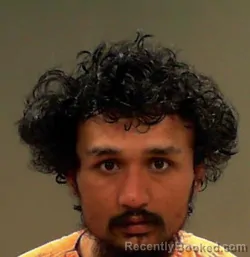 Mugshot of Dhirendra Jung Shah