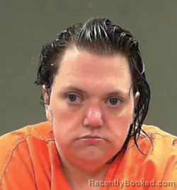 Mugshot of Lee Ann Cline booked in Ohio County, West Virginia on August 20, 2026