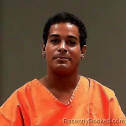 Mugshot of Luis Emmanuel Torres booked in Ohio County, West Virginia on August 12, 2026