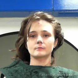 Booking photo from Ohio County, West Virginia