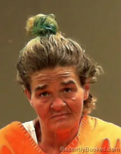 Mugshot of Roberta Jasmine Sheets booked in Ohio County, West Virginia on April 12, 2026