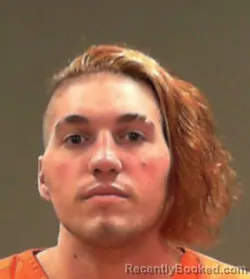 Mugshot of Tylor Joseph Fortune