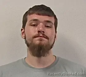 Mugshot of Chandler Austin Hartman booked in Pendleton County, West Virginia on August 16, 2026