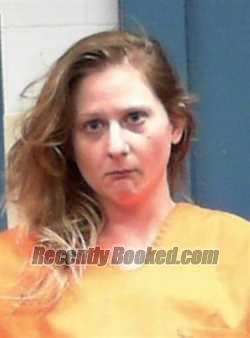 Booking photo from Pleasants County, West Virginia