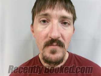 Booking photo from Pocahontas County, West Virginia