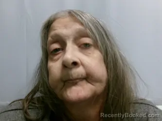 Booking photo from Preston County, West Virginia