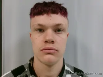 Mugshot of Ethan Scott Newlon