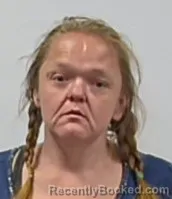 Mugshot of Sheryl Renae McGinnis