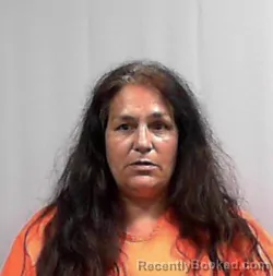 Mugshot of Dina Michelle Lewis booked in Putnam County, West Virginia on July 3, 2026