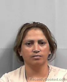 Mugshot of Rosely Milla-Diaz booked in Putnam County, West Virginia on June 19, 2026