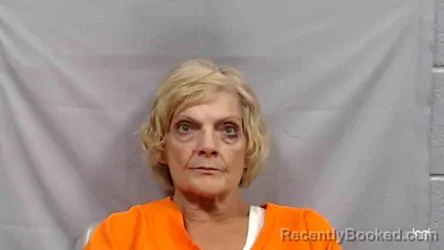 Mugshot of Anita Diann Boothe booked in Raleigh County, West Virginia on August 14, 2026