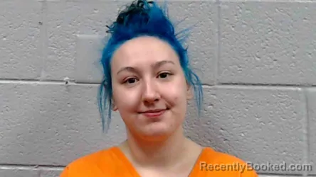 Mugshot of Adriana Karen Palmer booked in Raleigh County, West Virginia on October 10, 2026