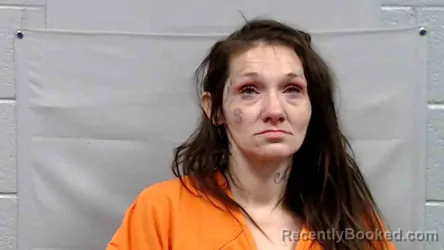 Mugshot of Amber Nicole Chapman