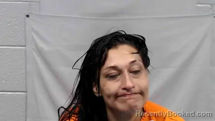 Mugshot of Cheyanne Marie Patton booked in Raleigh County, West Virginia on August 15, 2026