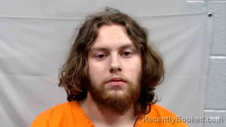 Mugshot of Dominick Brieann Foley