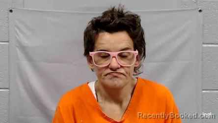 Mugshot of Heather Lee Austin booked in Raleigh County, West Virginia on April 23, 2026