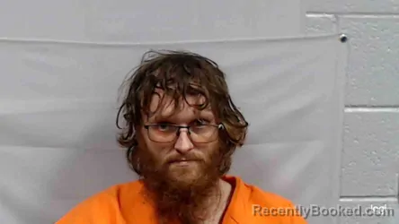 Mugshot of James Lee Blevins