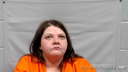 Mugshot of Jennifer Renee Wilson