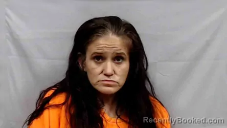 Mugshot of Lisa Ann Mckinney booked in Raleigh County, West Virginia on June 19, 2026