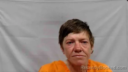 Mugshot of Ladawn Michelle Meador booked in Raleigh County, West Virginia on April 16, 2026
