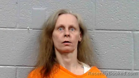 Mugshot of Lena Mae Salmon booked in Raleigh County, West Virginia on October 9, 2026