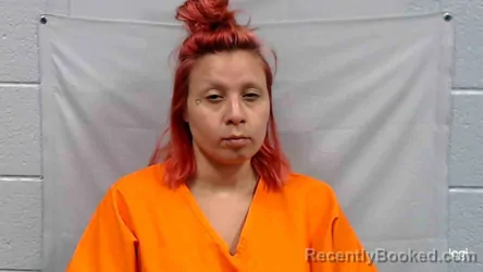 Mugshot of Lauren Nicole Bostic booked in Raleigh County, West Virginia on July 24, 2026