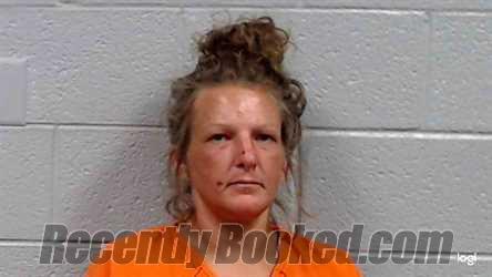 Booking photo from Raleigh County, West Virginia