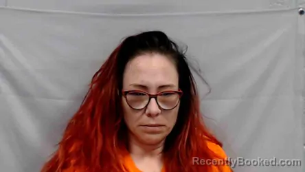 Mugshot of Stephanie Lynn Neff booked in Raleigh County, West Virginia on April 29, 2026